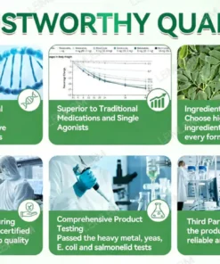 KLENIMORE™ Moringa·Berberine × NAD+ 10-in-1 Nano Microneedle Patch