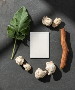 KLENIMORE™ Targeted Lung Cleansing Patch